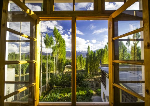 Cost of Wood Window Replacement in Bothell